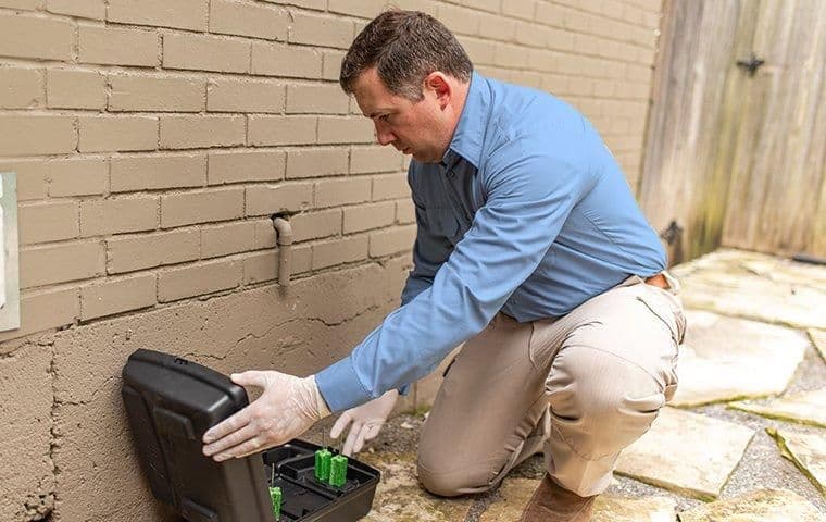 Professional Pest Control Services in San Joaquin County