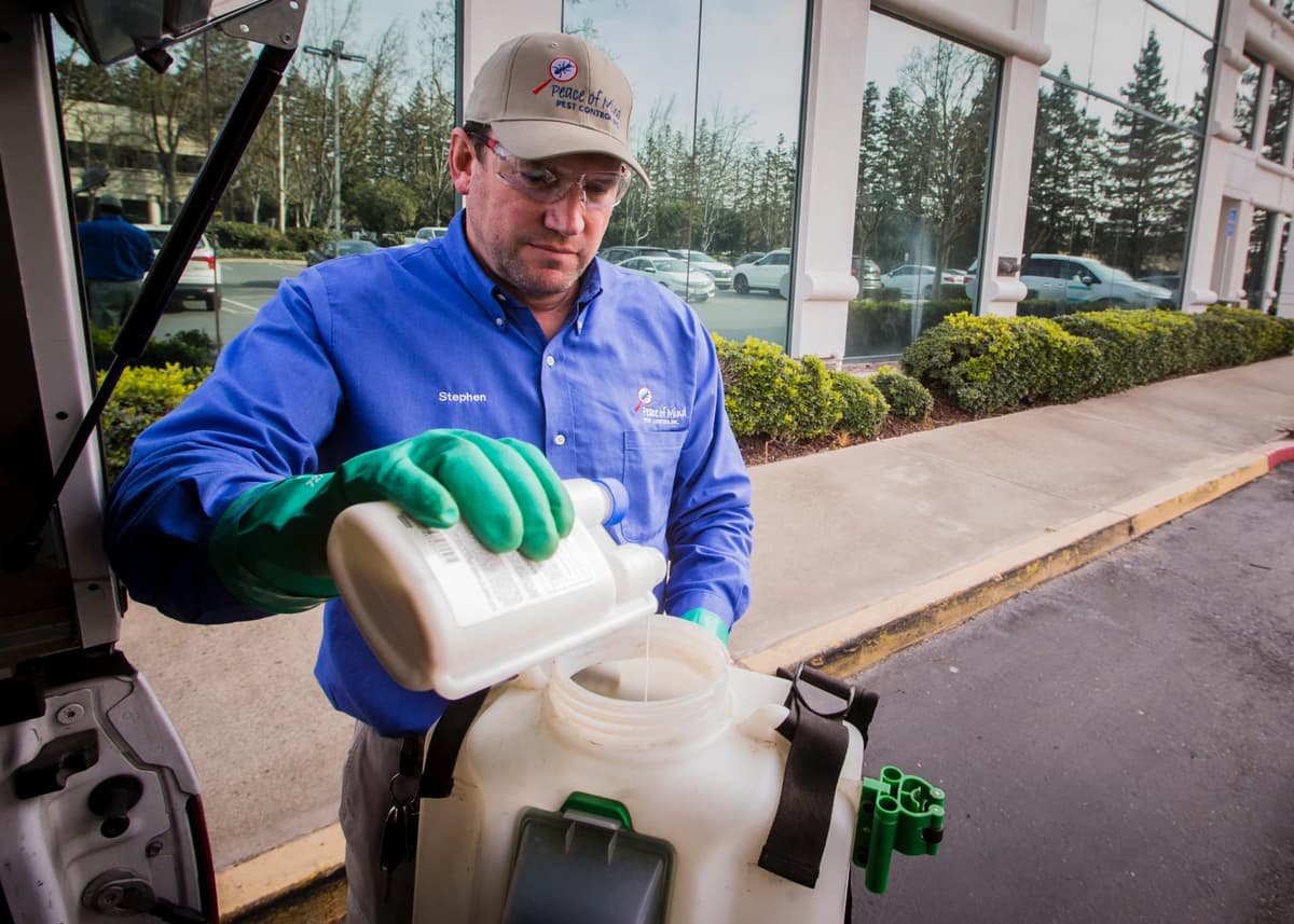 Professional Pest Control Services in Delhi