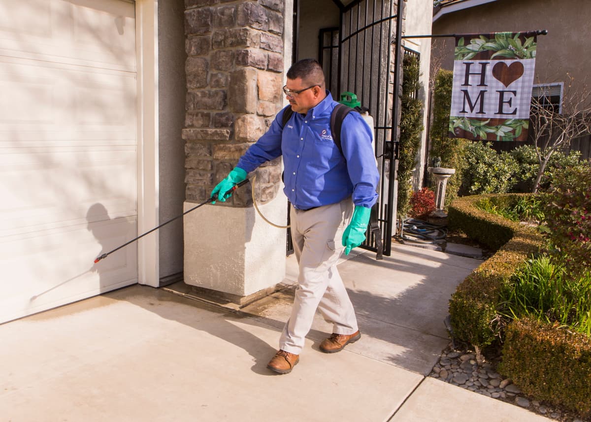 Professional Pest Control Services in Tracy
