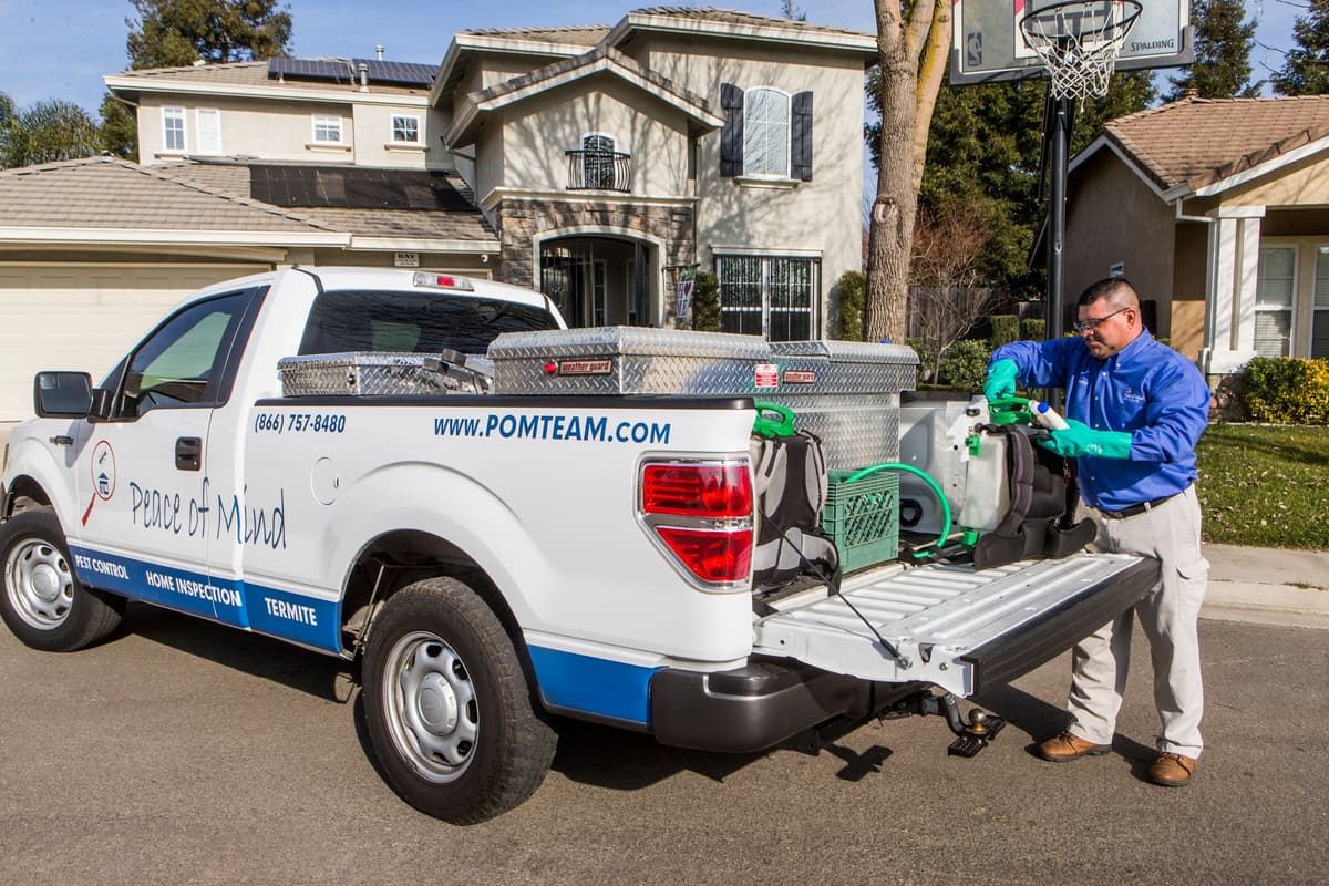 Professional Pest Control Services in Stanislaus County