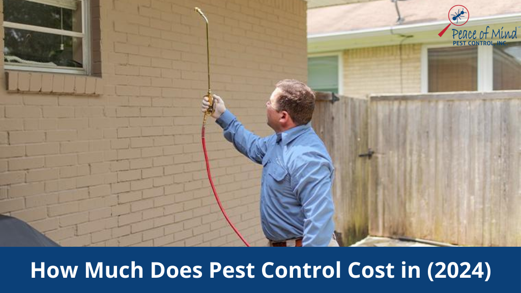 How Much Does Pest Control Cost in California (2024)