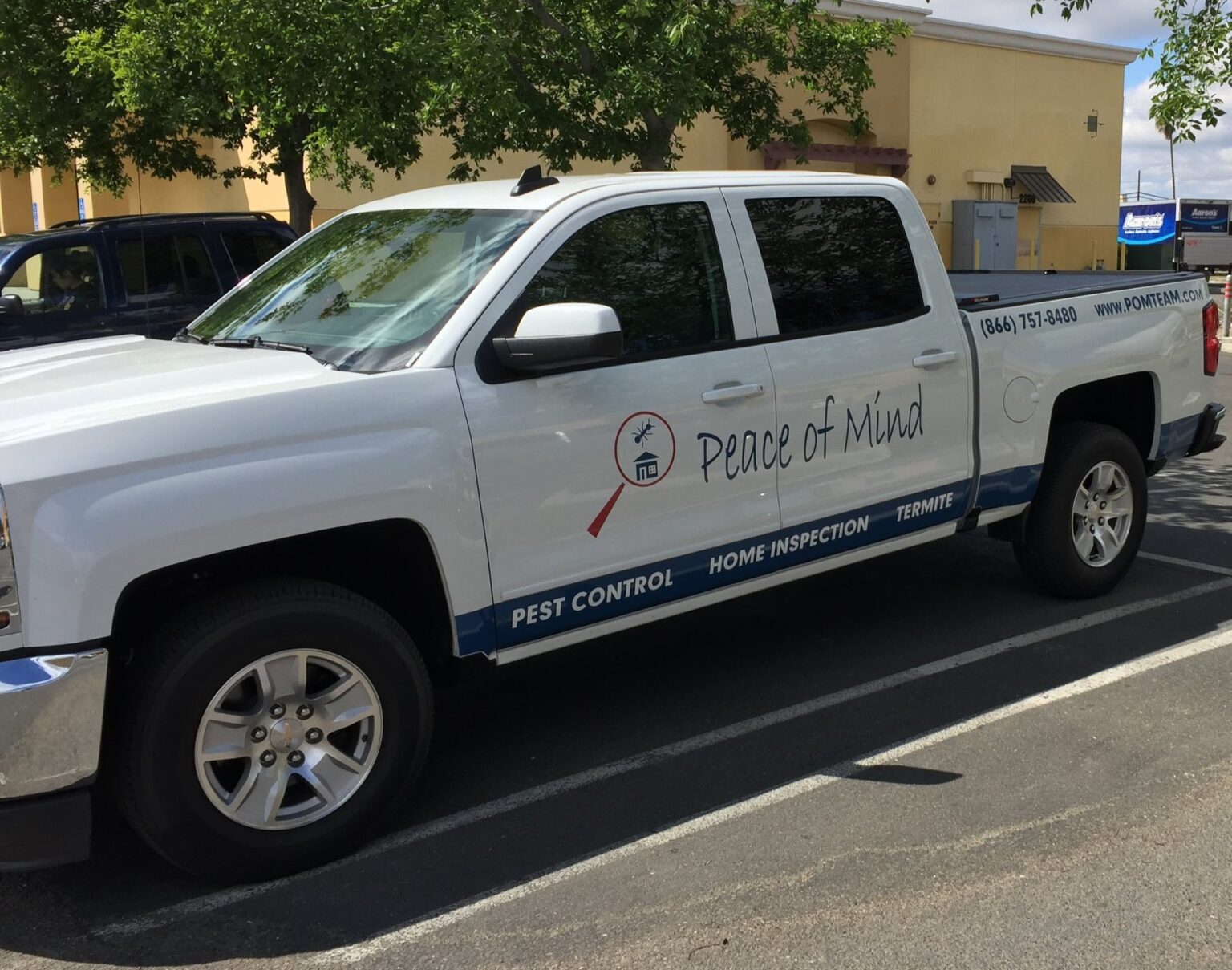 Termite Control in Virginia Beach | Terminix Termite Control in Virginia Beach | Terminix