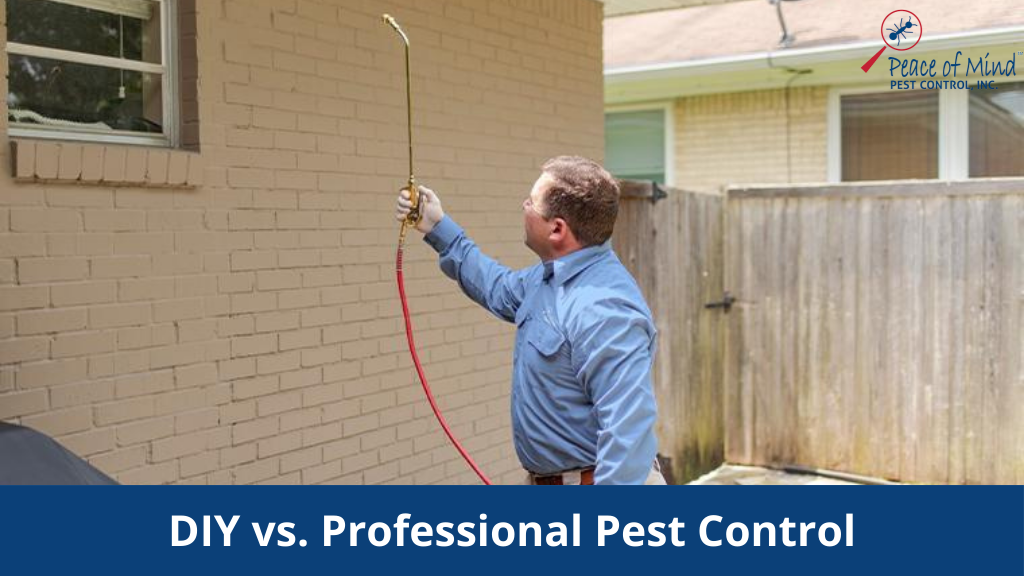 DIY vs. Professional Pest Control